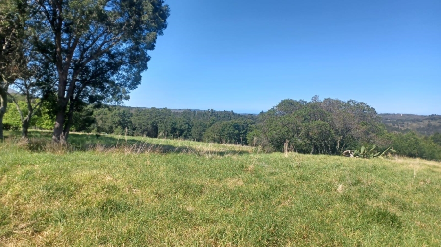 Commercial Property for Sale in Mossel Bay Rural Western Cape